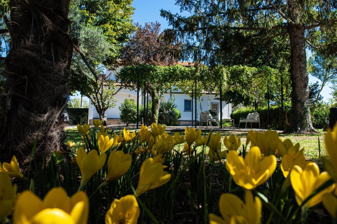 Terre Etrusche Guest House-Terme -3 Minuti Da Viterbo Centro Bagian luar foto